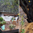 A diptych showing a private back deck with planters and white furniture, and a closeup of an opening in the deck to allow a tree to grow through.