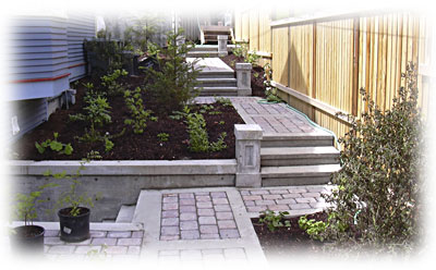 Quiet and fenched-in side yard path